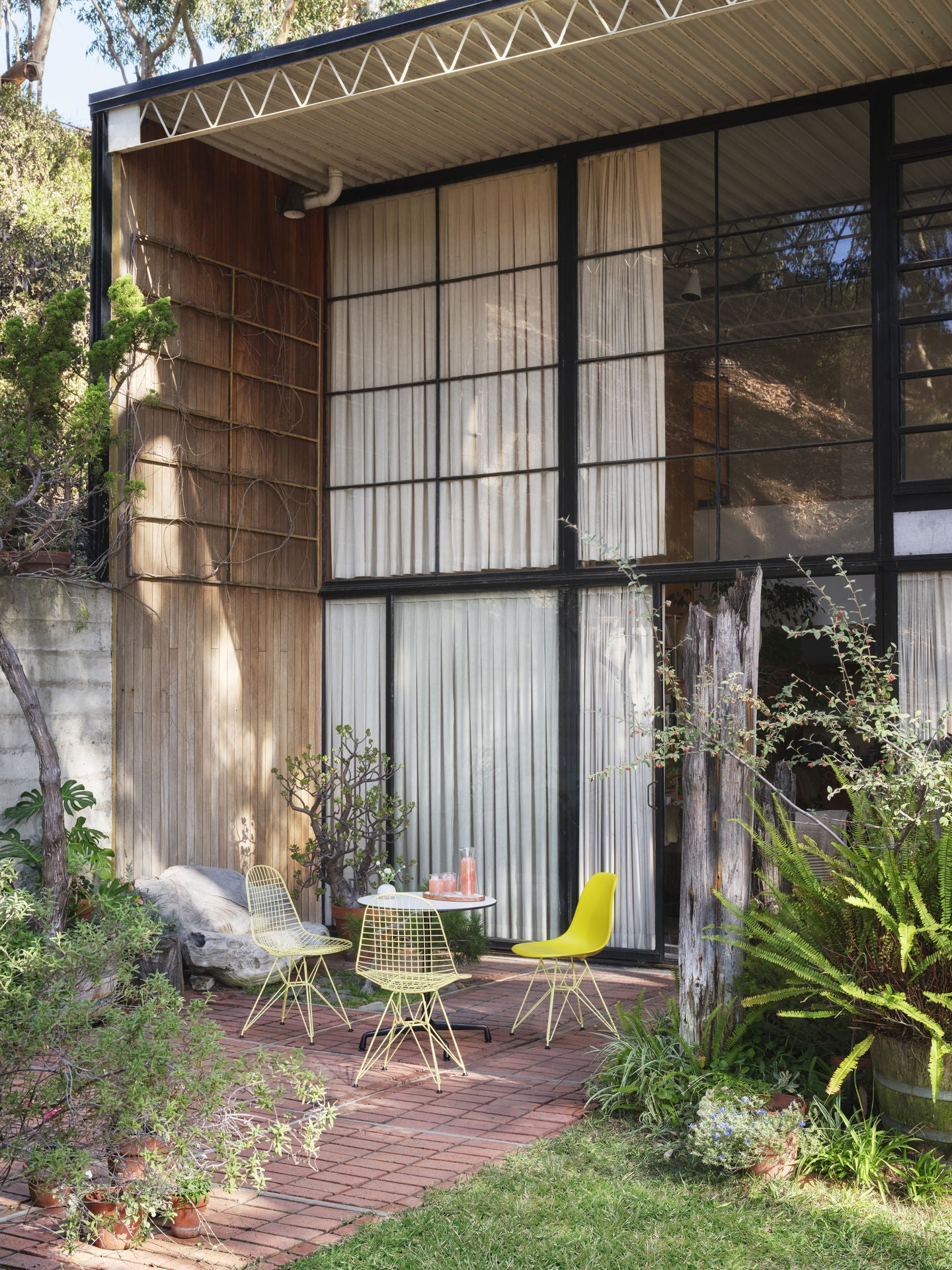 Spisestoler Eames Wire Chair DKR og Side Chair DSR i sitrongul farge ute foran huset til Charles og Ray Eames.