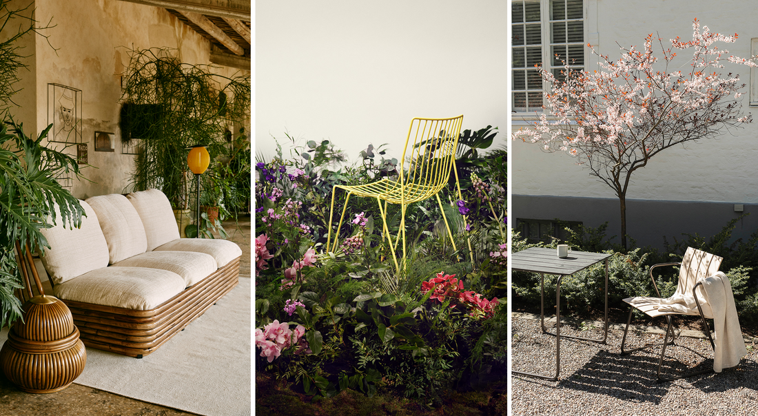 Store Trær til Hagen: Skap en Imponerende Oase () Store Trær til Hagen: Skap en Imponerende Oase