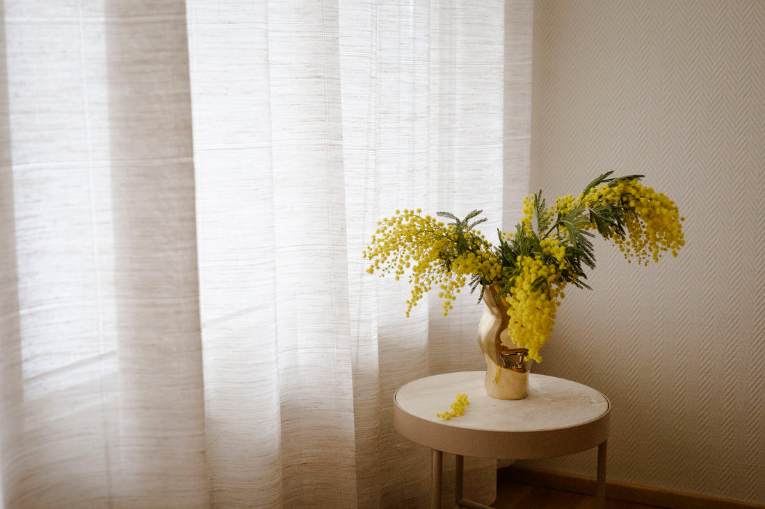 gule Mimosa blomster i messingvase fra Hein Studio,  foran beige gardiner veggfarge soft fra Jotun
