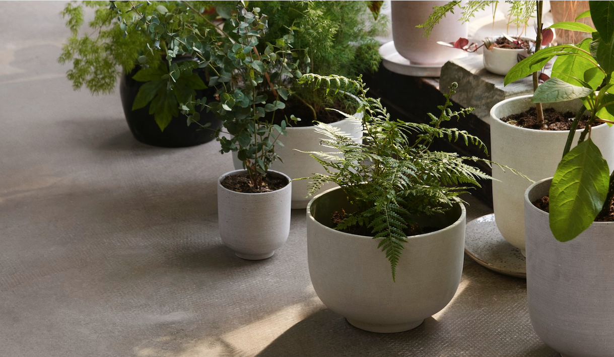 Serie: Collect Potter