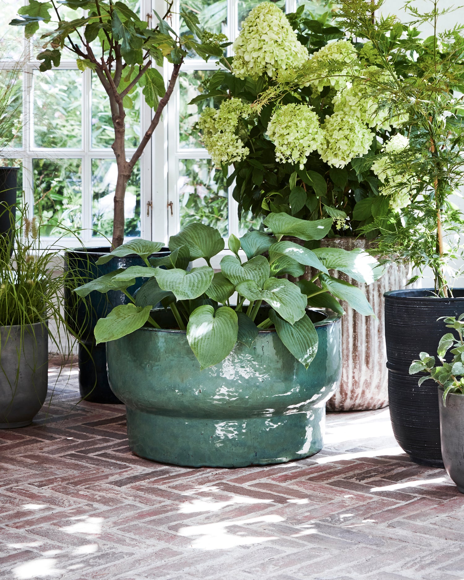 Store, grønne frostsikre keramikkpotter til store planter