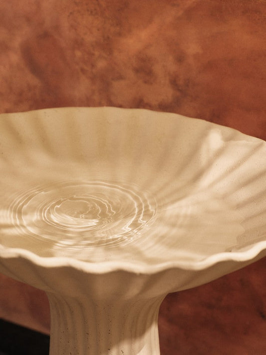 Fuglebad Fountain Pedestal Bowl er ekstra vakker med vann i 