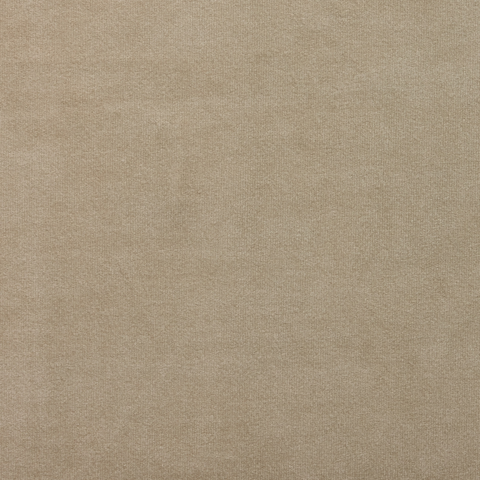 Beige velurgardin fra Gotain (Sand)