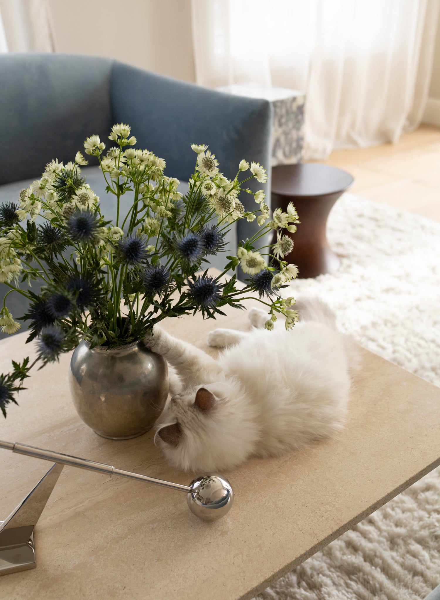 Klassisk og elegant stue med blå sofa, lyse vegger og lett gjennomskinnelige gardiner.  Sofabord i travertinstein og detaljer i marmor, mørkt treverk og blank krom.