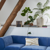 Puten Fluffy Cushion fra HK Living har en fin mellomstor størrelse med mål 35x55 cm og er perfekt å kombinere med andre puter i sofaen – eller til å gjøre soverommet enda mer innbydende.