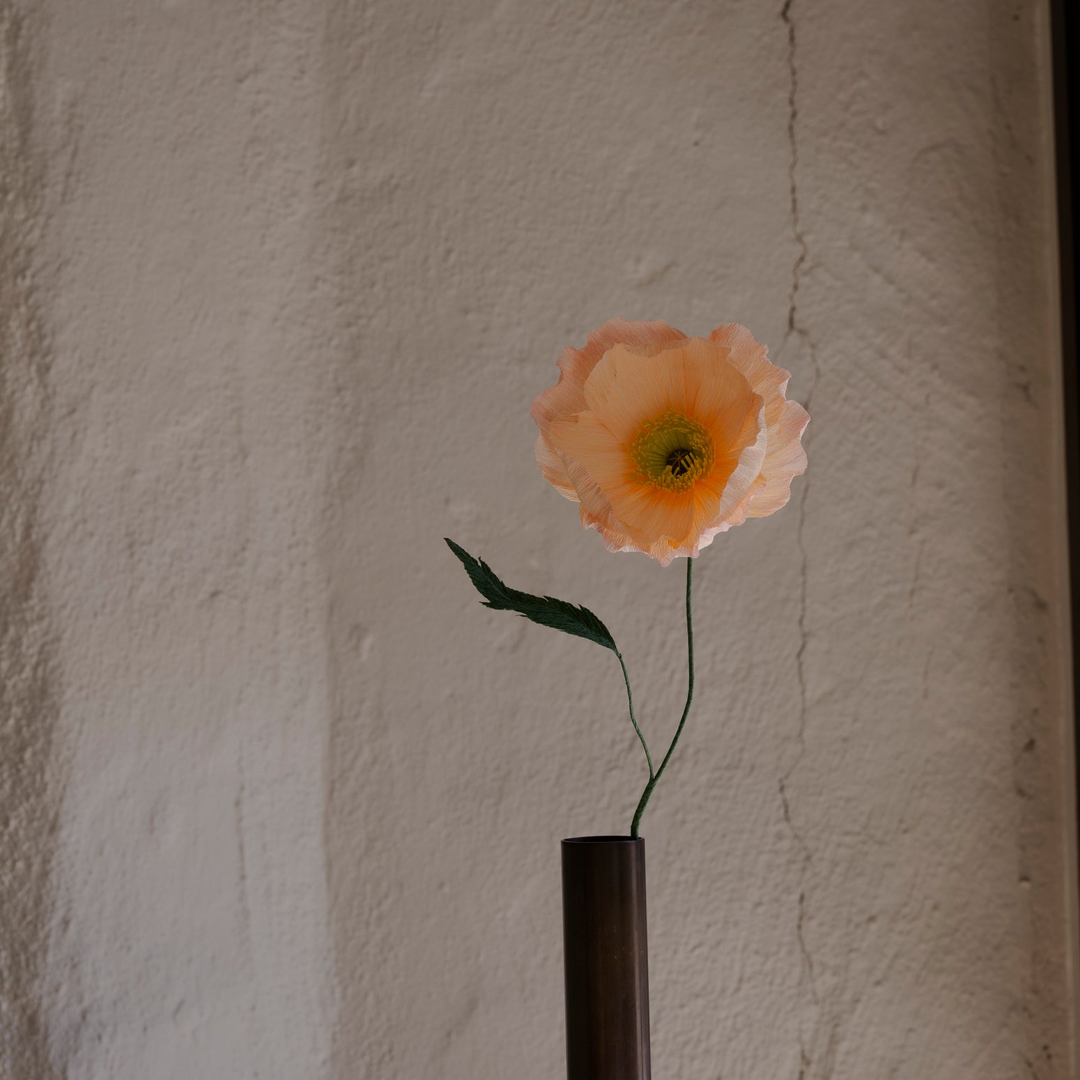 Poppy, Fersken