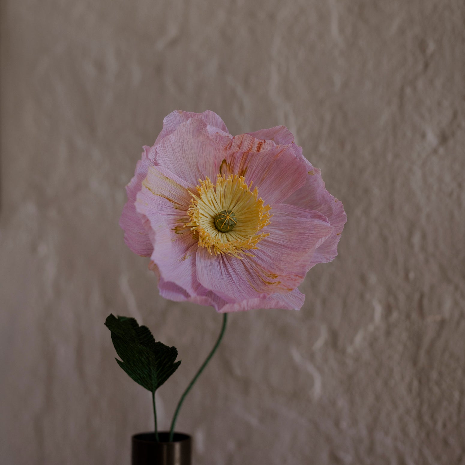 Poppy, Rosa
