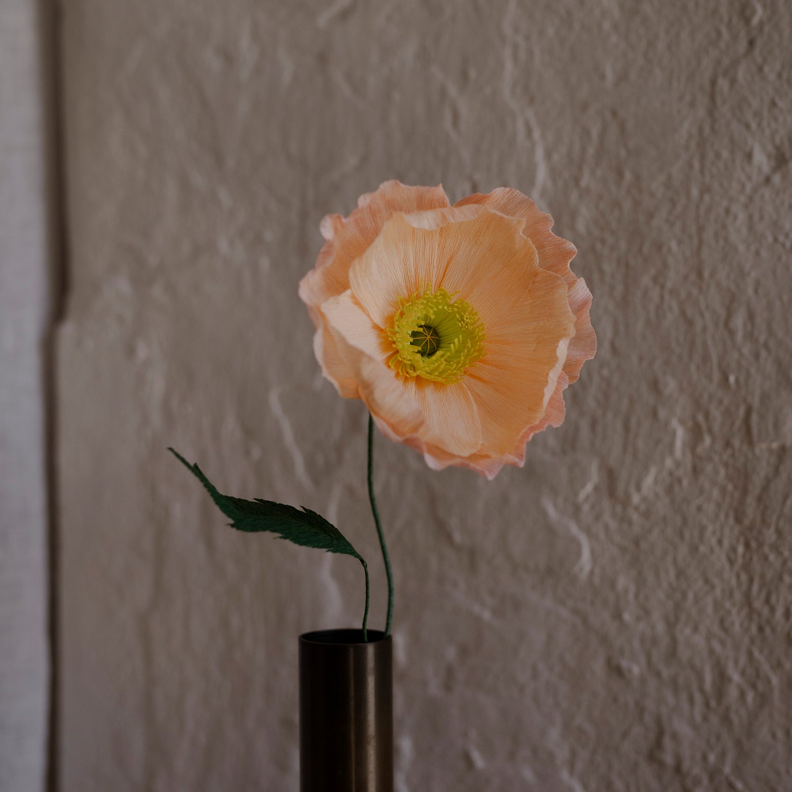 Poppy, Fersken