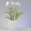 Nuage silver medium