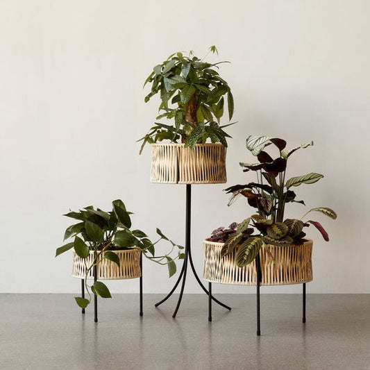 Potte Umanoff planter 27