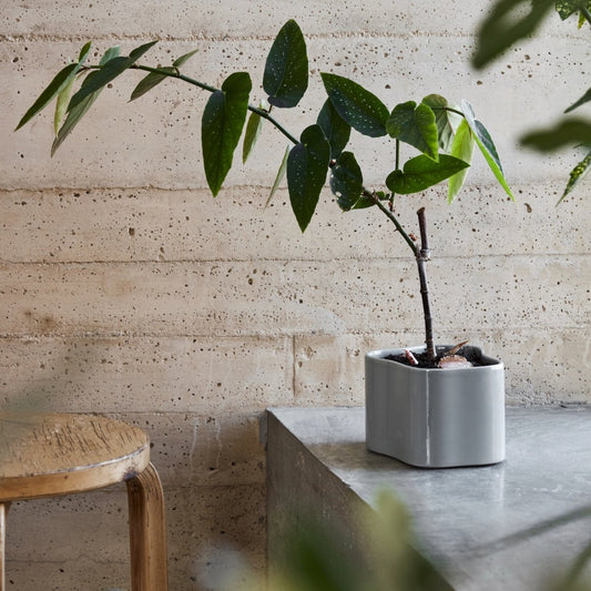 Potten Riihitie Plant Pot A fra Artek kommer i to ulike størrelser og tre farger. Her i lysegrå glasur.